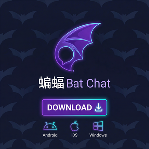 蝙蝠聊天 - 蝙蝠聊天软件网络连接问题排查指南